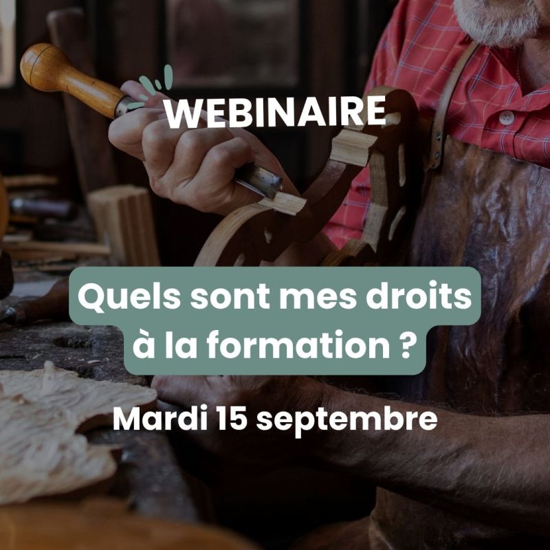 Participez au webinaire &laquo;&nbsp;Quels sont mes droits à la formation&nbsp;?&nbsp;&raquo;
